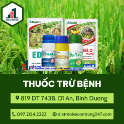 Thuốc trừ bệnh